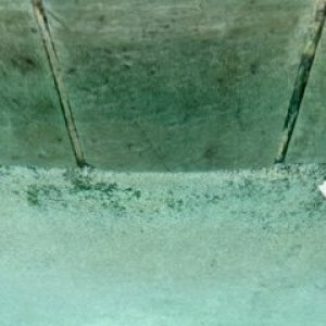 pool 3.jpeg