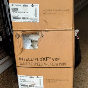 XF Pumps.jpg
