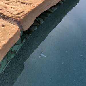 pool sensor.jpg