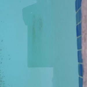 20221222_055120.jpg