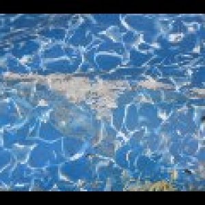 Pool Pictures 5-2-2012 324.jpg