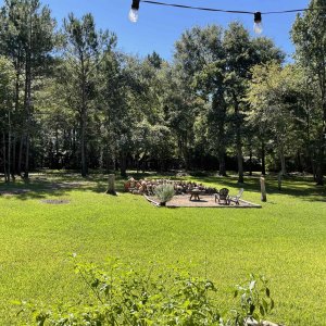Backyard.jpg