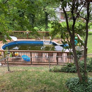 Entire Pool.jpg