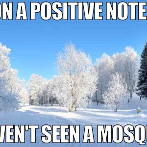snow.jpg