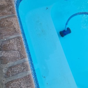 img3.jpg