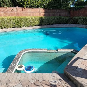Entire Pool.jpg