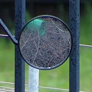 overflow pipe 4.jpg