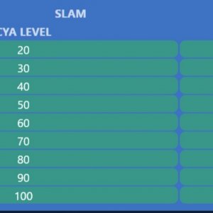 SLAM FC Levels.jpg