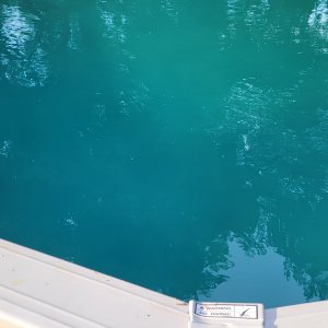 Pool_after_draining.jpg