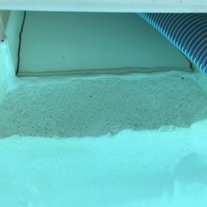skimmer poool putty.jpeg