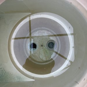 3D7909F9-C312-4DEC-92C8-D2DF68D68EC4.jpeg