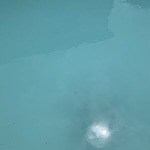 F16E6E95-E07A-4128-9F43-E744608512C1.jpeg