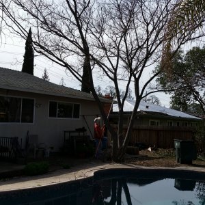 20160228_124931.jpg