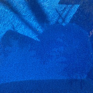 IMG_9092.jpeg