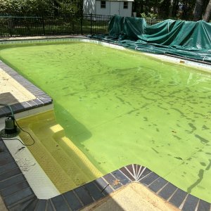 4.15.23 Pool Uncovered.jpg