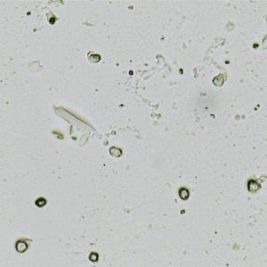 post pic 2.jpg