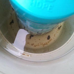 20130606_181130.jpg