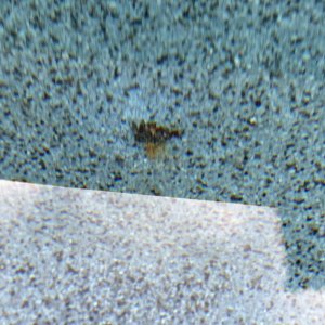 21CCD94B-0E3F-44E8-B3A3-172092C31B32.jpeg