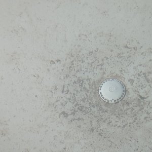 PXL_20230515_025622476.jpg