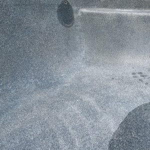IMG_9001.jpeg