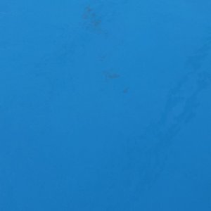 IMG_2895.jpeg