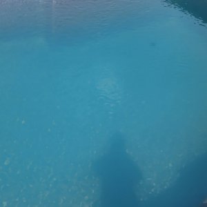20230518_160711.jpg
