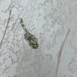 IMG_3501.jpeg