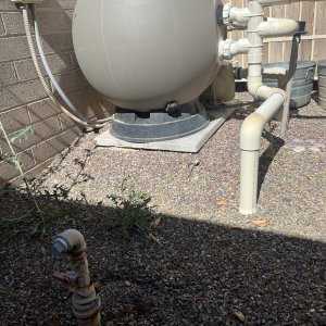 IMG_7381.jpeg