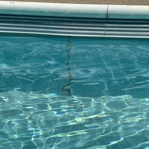 IMG_8582.jpeg
