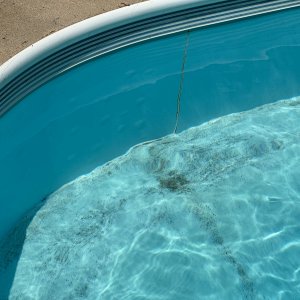 IMG_8580.jpeg