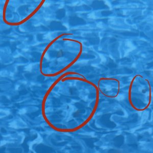 IMG_0835.jpeg