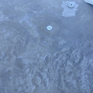 IMG_0904.jpeg