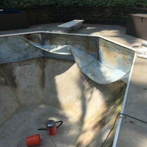 IMG_4228.jpeg