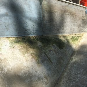 IMG_4237.jpeg