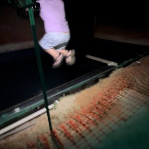 IMG_5791.jpeg