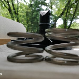 MultiPortSpring.jpg