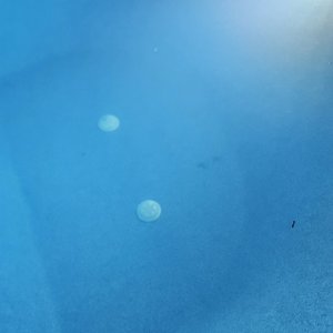 20230617_214049.jpg