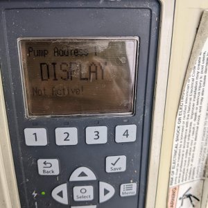 PXL_20230620_205545526.jpg