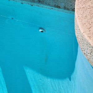 20230620 pool - is this algae.jpg