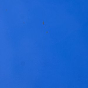 IMG_7817.jpeg
