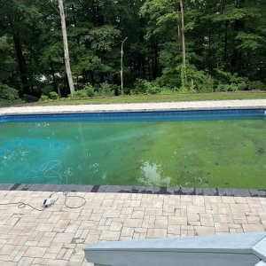 IMG_4019.jpeg