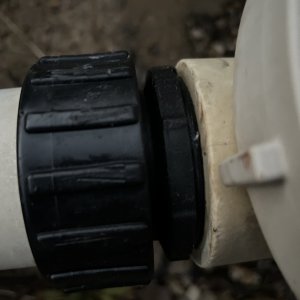 IMG_0003.jpeg