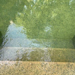 IMG_0224.jpeg