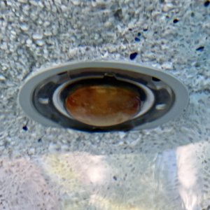 IMG_5788.jpeg