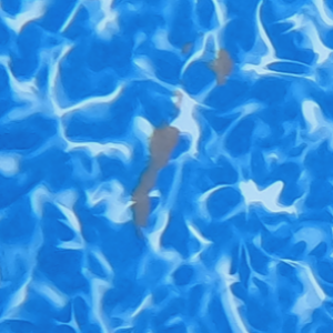 image0.png