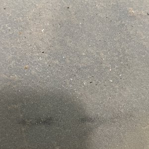 7472B01B-3FF0-4576-87EE-E5C3D0F6B075.jpeg