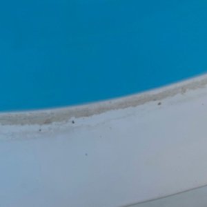 water line.jpg