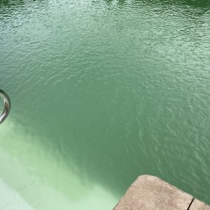 Pool.jpg