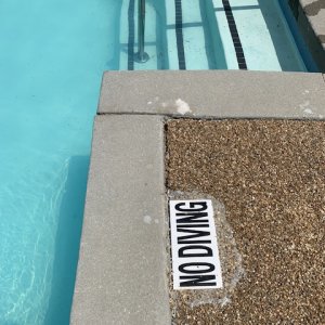 IMG_6984.jpeg