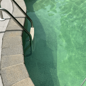 Pool 4.png